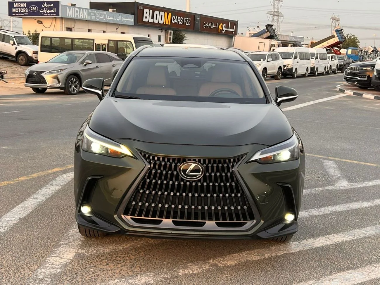 2024 Lexus NX250