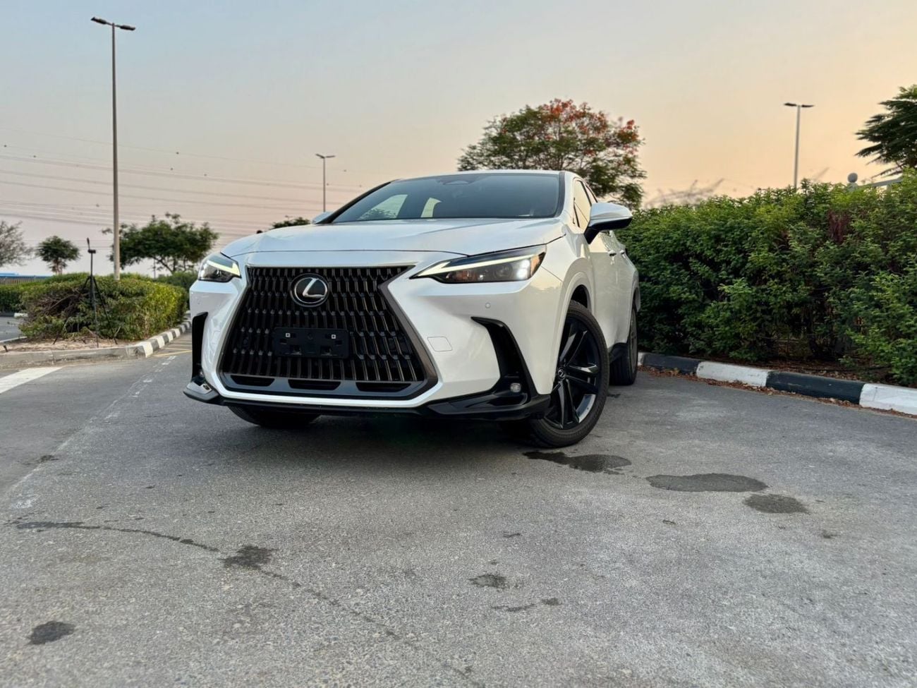 2025 Lexus NX 350h Premier Hybrid