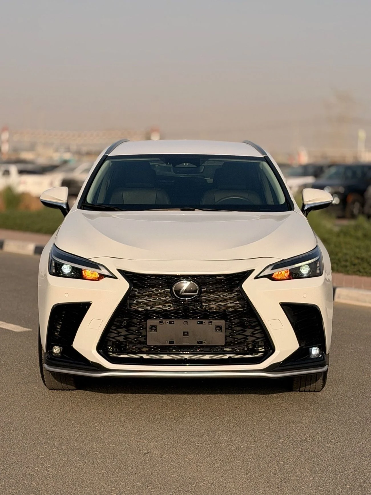 2025 Lexus NX250